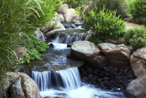 water-stream-courtney-crane